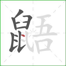 鼯的笔顺第11画：点