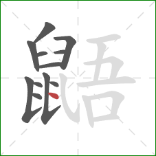 鼯的笔顺第12画：点