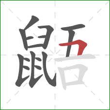 鼯的笔顺第16画：横折