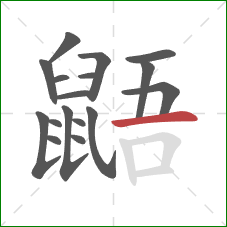 鼯的笔顺第17画：横