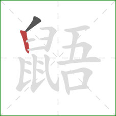 鼯的笔顺第2画：竖