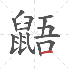 鼯的笔顺第20画：横