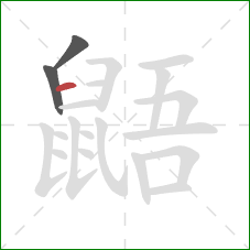 鼯的笔顺第3画：横