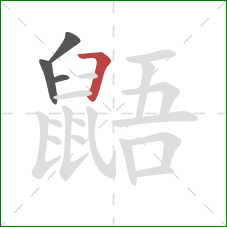 鼯的笔顺第4画：横折