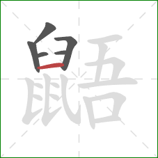 鼯的笔顺第6画：横