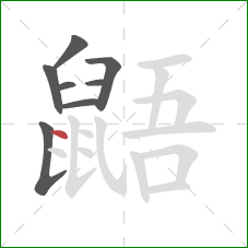 鼯的笔顺第8画：点