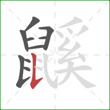 鼷的笔顺第10画：竖提