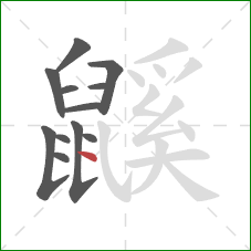 鼷的笔顺第12画：点