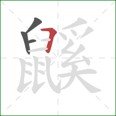 鼷的笔顺第4画：横折