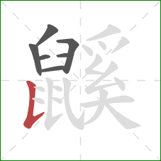 鼷的笔顺第7画：竖提