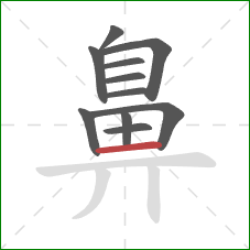 鼻的笔顺第11画：横