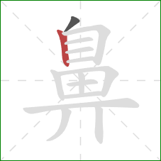 鼻的笔顺第2画：竖