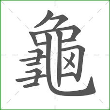 龜的笔顺