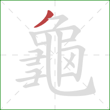 龜的笔顺第1画：撇