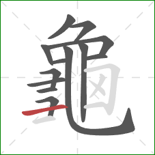 龜的笔顺第13画：横