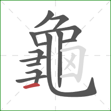 龜的笔顺第14画：横