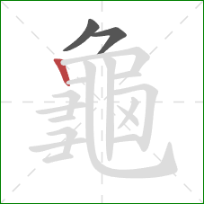 龜的笔顺第3画：竖