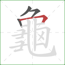 龜的笔顺第4画：横折