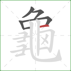 龜的笔顺第6画：横