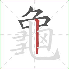 龜的笔顺第7画：竖