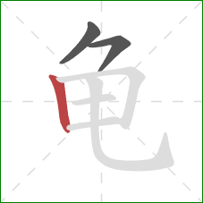 龟的笔顺第3画：竖