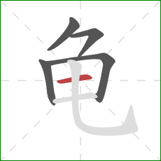 龟的笔顺第5画：横